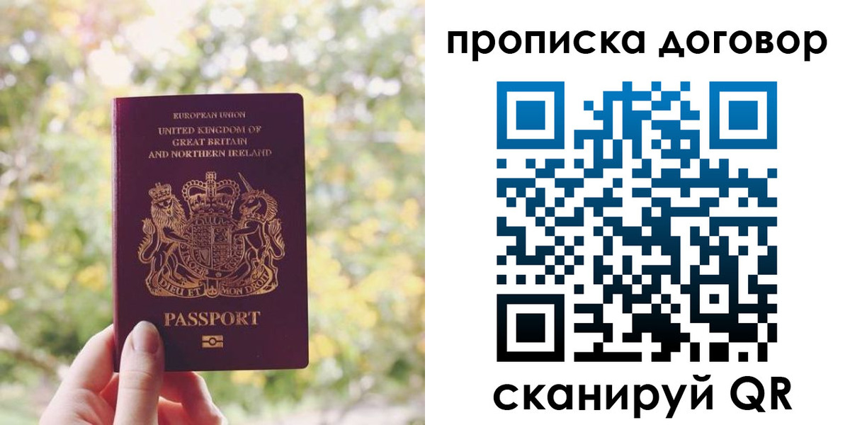 прописка поиск в Невеле